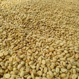 coffee arabica Java Preanger​ indonesia