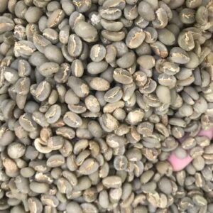 Gayo coffee beans indonesia